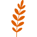 A stylized orange botanical stem with multiple elongated leaf-like shapes on a solid black background.