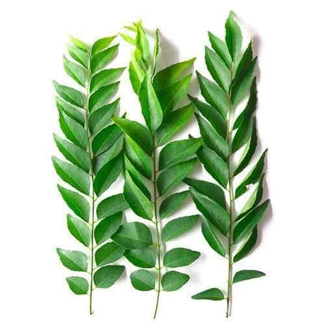 Fresh Curry Leaves