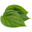 Fresh Betel Leaves