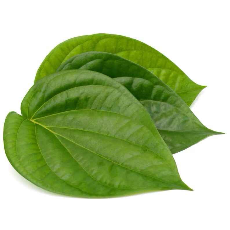 Fresh Betel Leaves