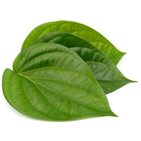 Fresh Betel Leaves